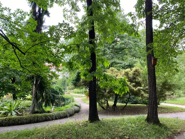 Zagreb Botanical Garden Botanical Garden Faculty Science Zagreb Croatia Botanicki — 图库照片