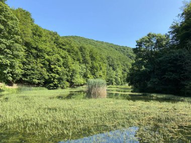 Park ormanlarındaki yapay göller Jankovac - Papuk doğa parkı, Hırvatistan (Umjetna jezera u Park sumi Jankovac - Park, Papuk, Hrvatska)