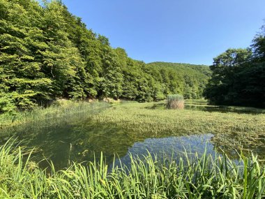 Park ormanlarındaki yapay göller Jankovac - Papuk doğa parkı, Hırvatistan (Umjetna jezera u Park sumi Jankovac - Park, Papuk, Hrvatska)