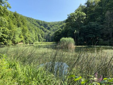 Park ormanlarındaki yapay göller Jankovac - Papuk doğa parkı, Hırvatistan (Umjetna jezera u Park sumi Jankovac - Park, Papuk, Hrvatska)