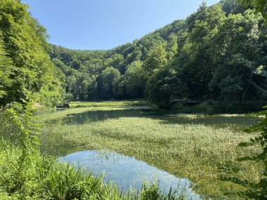 Park ormanlarındaki yapay göller Jankovac - Papuk doğa parkı, Hırvatistan (Umjetna jezera u Park sumi Jankovac - Park, Papuk, Hrvatska)