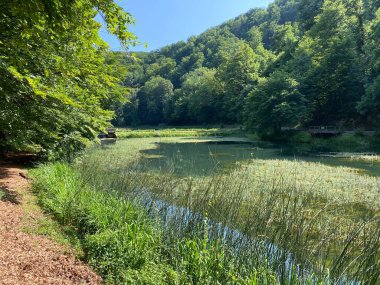 Park ormanlarındaki yapay göller Jankovac - Papuk doğa parkı, Hırvatistan (Umjetna jezera u Park sumi Jankovac - Park, Papuk, Hrvatska)