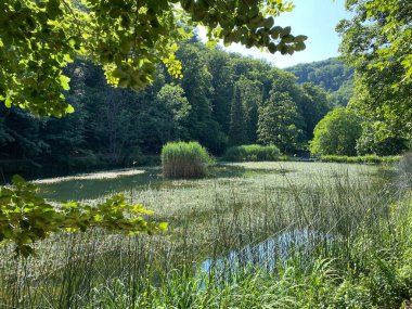 Park ormanlarındaki yapay göller Jankovac - Papuk doğa parkı, Hırvatistan (Umjetna jezera u Park sumi Jankovac - Park, Papuk, Hrvatska)