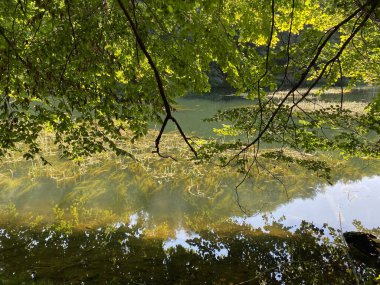 Park ormanlarındaki yapay göller Jankovac - Papuk doğa parkı, Hırvatistan (Umjetna jezera u Park sumi Jankovac - Park, Papuk, Hrvatska)