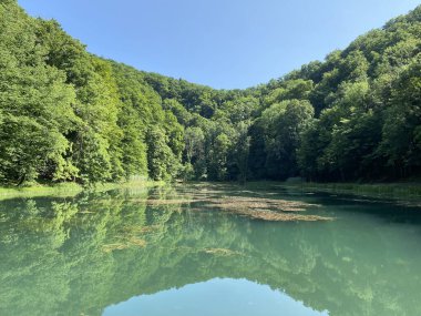 Park ormanlarındaki yapay göller Jankovac - Papuk doğa parkı, Hırvatistan (Umjetna jezera u Park sumi Jankovac - Park, Papuk, Hrvatska)