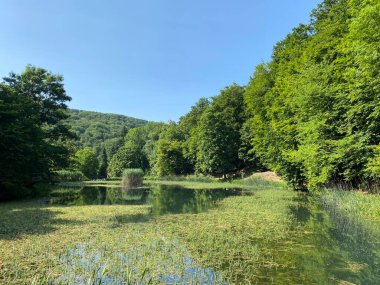 Park ormanlarındaki yapay göller Jankovac - Papuk doğa parkı, Hırvatistan (Umjetna jezera u Park sumi Jankovac - Park, Papuk, Hrvatska)