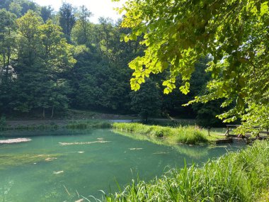 Park ormanlarındaki yapay göller Jankovac - Papuk doğa parkı, Hırvatistan (Umjetna jezera u Park sumi Jankovac - Park, Papuk, Hrvatska)