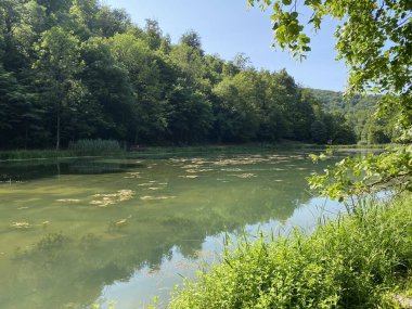 Park ormanlarındaki yapay göller Jankovac - Papuk doğa parkı, Hırvatistan (Umjetna jezera u Park sumi Jankovac - Park, Papuk, Hrvatska)