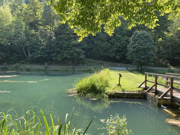 Lacs Artificiels Dans Une Forêt Parc Jankovac Parc Naturel Papuk — Photo