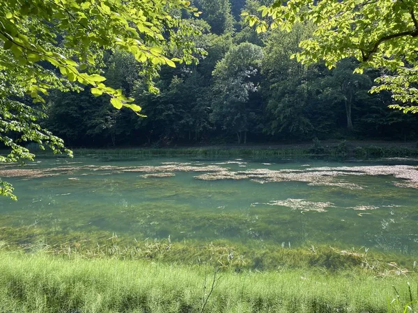 Park Ormanlarındaki Yapay Göller Jankovac Papuk Doğa Parkı Hırvatistan Umjetna — Stok fotoğraf