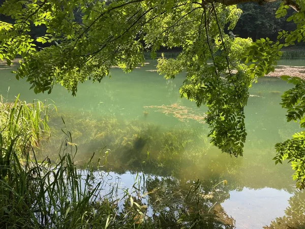 Τεχνητές Λίμνες Δασικό Πάρκο Γιάνκοβατς Φυσικό Πάρκο Παπούκ Κροατία Umjetna — Φωτογραφία Αρχείου