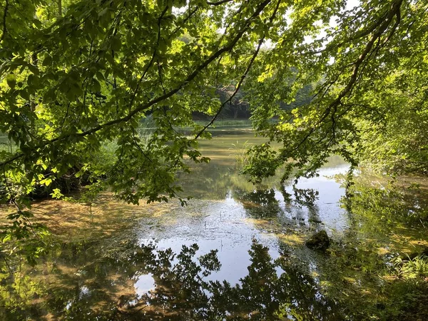 Lagos Artificiais Uma Floresta Parque Jankovac Parque Natural Papuk Croácia — Fotografia de Stock