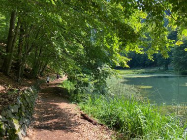 Jankovac orman parkında yürüyüş ve yürüyüş yolları veya Kont 'un Jankovac - Papuk doğa parkı, Hırvatistan (Grofova poucna staza na Jankovcu - Park Papuk, Hrvatska)