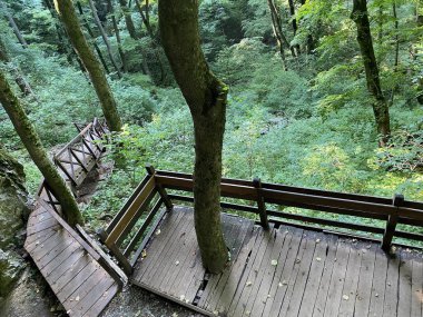 Jankovac orman parkında yürüyüş ve yürüyüş yolları veya Kont 'un Jankovac - Papuk doğa parkı, Hırvatistan (Grofova poucna staza na Jankovcu - Park Papuk, Hrvatska)