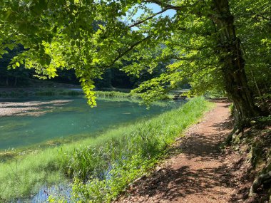 Jankovac orman parkında yürüyüş ve yürüyüş yolları veya Kont 'un Jankovac - Papuk doğa parkı, Hırvatistan (Grofova poucna staza na Jankovcu - Park Papuk, Hrvatska)