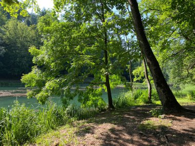 Jankovac orman parkında yürüyüş ve yürüyüş yolları veya Kont 'un Jankovac - Papuk doğa parkı, Hırvatistan (Grofova poucna staza na Jankovcu - Park Papuk, Hrvatska)