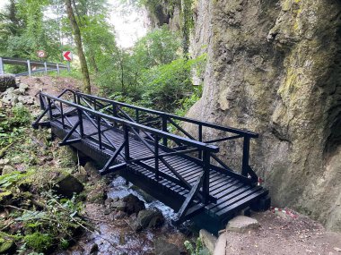 Jankovac orman parkında yürüyüş ve yürüyüş yolları veya Kont 'un Jankovac - Papuk doğa parkı, Hırvatistan (Grofova poucna staza na Jankovcu - Park Papuk, Hrvatska)