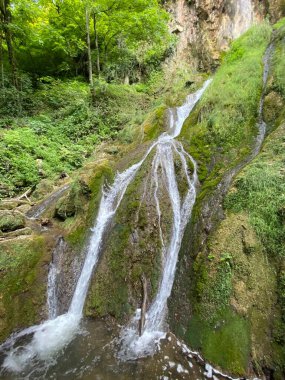 Jankovac Orman Parkı 'nda Şelale Skakavac - Papuk Doğa Parkı, Hırvatistan (Slap Skakavac u Park sumi Jankovac - Park Papuk, Hrvatska)