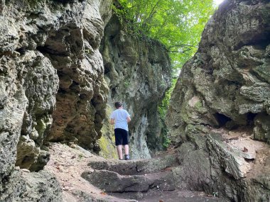 Jankovac Ormanı 'ndaki kireçtaşı kayaları - Papuk doğa parkı, Hırvatistan (Vapnenacke stijene u Park sumi Jankovac - Park, Papuk, Hrvatska)