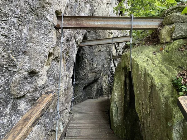 Limestone Rocks Forest Park Jankovac Papuk Nature Park Croatia Vapnenacke — Stock Photo, Image