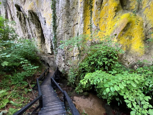 Roches Calcaires Dans Parc Forestier Jankovac Parc Naturel Papuk Croatie — Photo