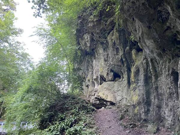 Roches Calcaires Dans Parc Forestier Jankovac Parc Naturel Papuk Croatie — Photo