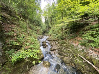 Gorski kotar 'daki Kamacnik nehrinin koruma altındaki kanyonu - Vrbovsko, Hırvatistan (Zasticeni krajolik kanjon rjecice Kamacnik u Gorskom kotaru - Vrbovsko, Hrvatska)