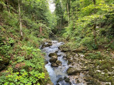 Gorski kotar 'daki Kamacnik nehrinin koruma altındaki kanyonu - Vrbovsko, Hırvatistan (Zasticeni krajolik kanjon rjecice Kamacnik u Gorskom kotaru - Vrbovsko, Hrvatska)