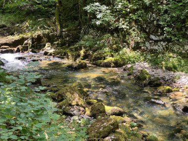 Gorski kotar 'daki Kamacnik nehrinin koruma altındaki kanyonu - Vrbovsko, Hırvatistan (Zasticeni krajolik kanjon rjecice Kamacnik u Gorskom kotaru - Vrbovsko, Hrvatska)