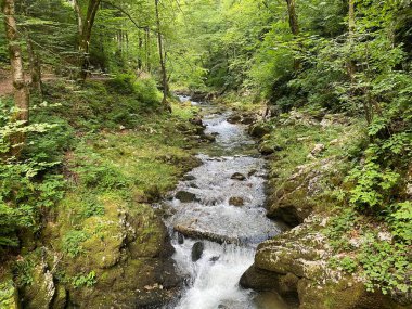 Gorski kotar 'daki Kamacnik nehrinin koruma altındaki kanyonu - Vrbovsko, Hırvatistan (Zasticeni krajolik kanjon rjecice Kamacnik u Gorskom kotaru - Vrbovsko, Hrvatska)