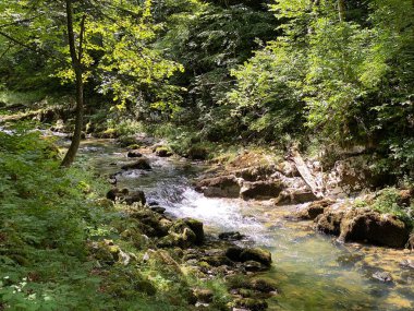 Gorski kotar 'daki Kamacnik nehrinin koruma altındaki kanyonu - Vrbovsko, Hırvatistan (Zasticeni krajolik kanjon rjecice Kamacnik u Gorskom kotaru - Vrbovsko, Hrvatska)