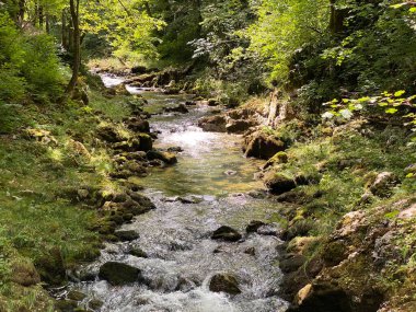 Gorski kotar 'daki Kamacnik nehrinin koruma altındaki kanyonu - Vrbovsko, Hırvatistan (Zasticeni krajolik kanjon rjecice Kamacnik u Gorskom kotaru - Vrbovsko, Hrvatska)