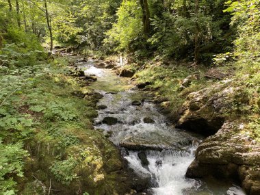 Gorski kotar 'daki Kamacnik nehrinin koruma altındaki kanyonu - Vrbovsko, Hırvatistan (Zasticeni krajolik kanjon rjecice Kamacnik u Gorskom kotaru - Vrbovsko, Hrvatska)