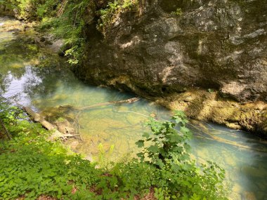 Gorski kotar 'daki Kamacnik nehrinin koruma altındaki kanyonu - Vrbovsko, Hırvatistan (Zasticeni krajolik kanjon rjecice Kamacnik u Gorskom kotaru - Vrbovsko, Hrvatska)