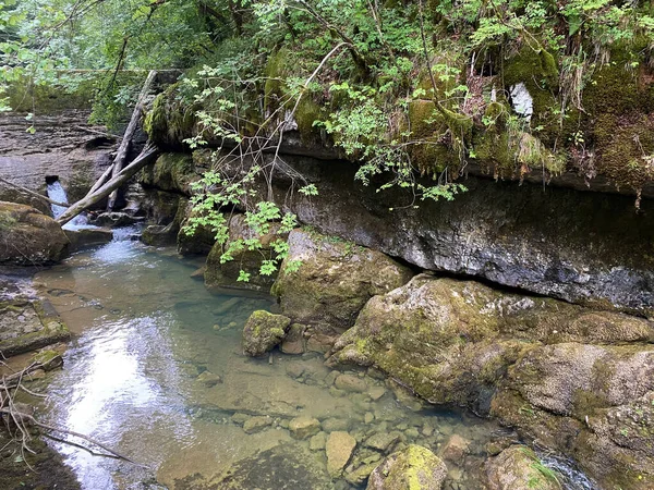 Paisaje Protegido Cañón Del Río Kamacnik Gorski Kotar Vrbovsko Croacia — Foto de Stock