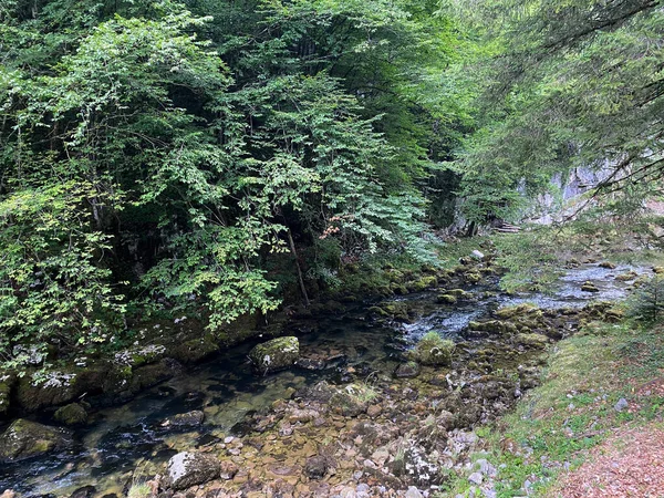 Naturschutzgebiet Schlucht Des Flusses Kamacnik Gorski Kotar Vrbovsko Kroatien Zasticeni — Stockfoto