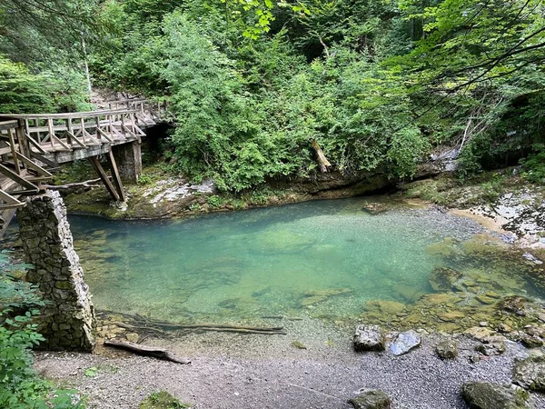 Naturschutzgebiet Schlucht Des Flusses Kamacnik Gorski Kotar Vrbovsko Kroatien Zasticeni — Stockfoto