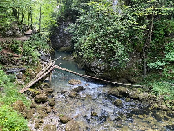 Canyon Paysager Protégé Rivière Kamacnik Gorski Kotar Vrbovsko Croatie Zasticeni — Photo