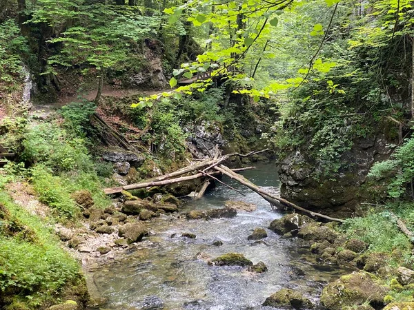 ゴルスキ コタル川の保護された景観渓谷 クロアチア ヴルボフスコ Zazzeni Krajolik Kanjon Rjecice Kamacnik Gorskom — ストック写真