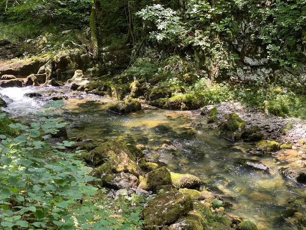 Chroniony Kanion Krajobrazowy Rzeki Kamacnik Gorskim Kotarze Vrbovsko Chorwacja Zasticeni — Zdjęcie stockowe
