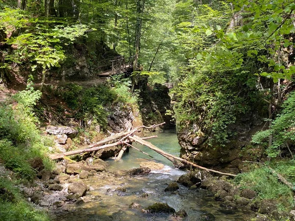 Beschermde Landschap Canyon Van Rivier Kamacnik Gorski Kotar Vrbovsko Kroatië — Stockfoto