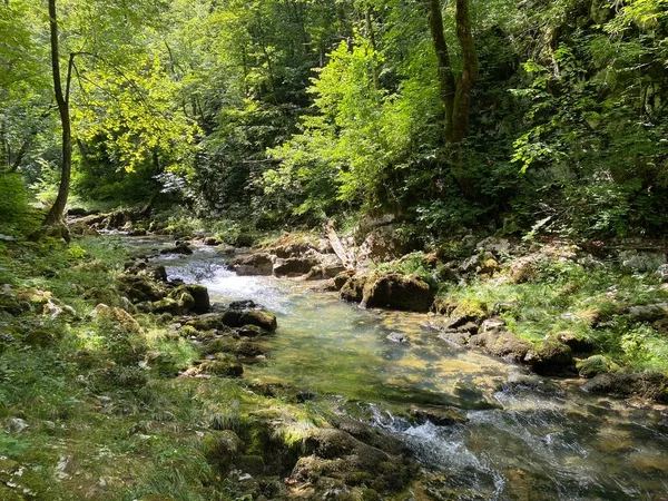 Προστατευόμενο Φαράγγι Τοπίου Του Ποταμού Kamacnik Στο Gorski Kotar Vrbovsko — Φωτογραφία Αρχείου