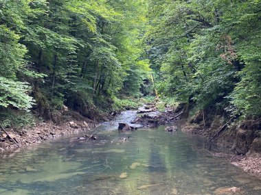 Gorski kotar - Vrbovsko, Hırvatistan 'daki küçük Kamacnik nehrinin korunan manzarası (Zasticeni krajolik rjecice i kanjona Kamacnik u Gorskom kotaru - Vrbovsko, Hrvatska)