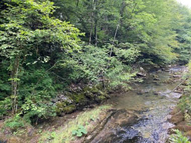 Gorski kotar - Vrbovsko, Hırvatistan 'daki küçük Kamacnik nehrinin korunan manzarası (Zasticeni krajolik rjecice i kanjona Kamacnik u Gorskom kotaru - Vrbovsko, Hrvatska)