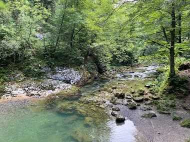 Gorski kotar - Vrbovsko, Hırvatistan 'daki küçük Kamacnik nehrinin korunan manzarası (Zasticeni krajolik rjecice i kanjona Kamacnik u Gorskom kotaru - Vrbovsko, Hrvatska)