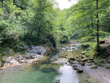 Gorski kotar - Vrbovsko, Hırvatistan 'daki küçük Kamacnik nehrinin korunan manzarası (Zasticeni krajolik rjecice i kanjona Kamacnik u Gorskom kotaru - Vrbovsko, Hrvatska)