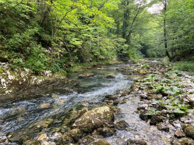 Gorski kotar - Vrbovsko, Hırvatistan 'daki küçük Kamacnik nehrinin korunan manzarası (Zasticeni krajolik rjecice i kanjona Kamacnik u Gorskom kotaru - Vrbovsko, Hrvatska)