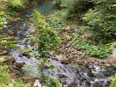 Gorski kotar - Vrbovsko, Hırvatistan 'daki küçük Kamacnik nehrinin korunan manzarası (Zasticeni krajolik rjecice i kanjona Kamacnik u Gorskom kotaru - Vrbovsko, Hrvatska)