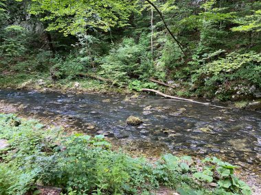 Gorski kotar - Vrbovsko, Hırvatistan 'daki küçük Kamacnik nehrinin koruma altındaki manzarası (Zasticeni krajolik rotası Kamacnik u Gorskom kotaru - Vrbovsko, Hrvatska)