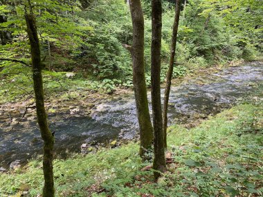 Gorski kotar - Vrbovsko, Hırvatistan 'daki küçük Kamacnik nehrinin koruma altındaki manzarası (Zasticeni krajolik rotası Kamacnik u Gorskom kotaru - Vrbovsko, Hrvatska)
